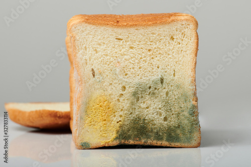 Mould on sliced bread photo