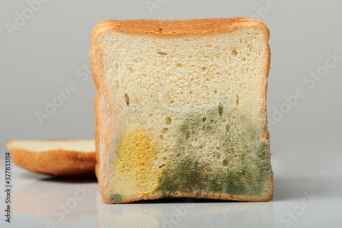 Mould on sliced bread
