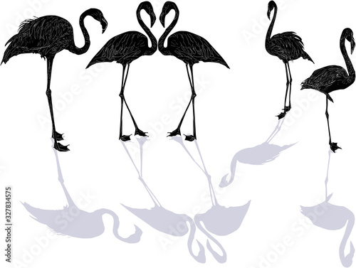 five black flamingo sketches with shadows on white