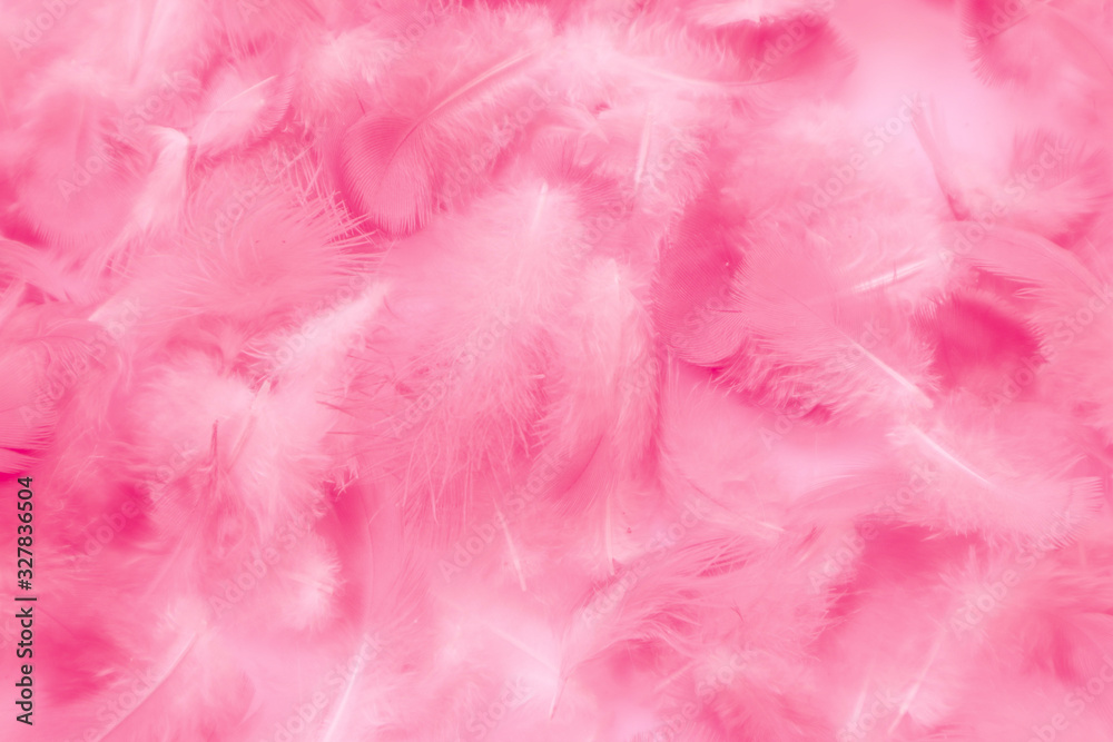 Beautiful abstract colorful white and pink feathers on white background and soft white feather texture on pink pattern, pink background banners 	