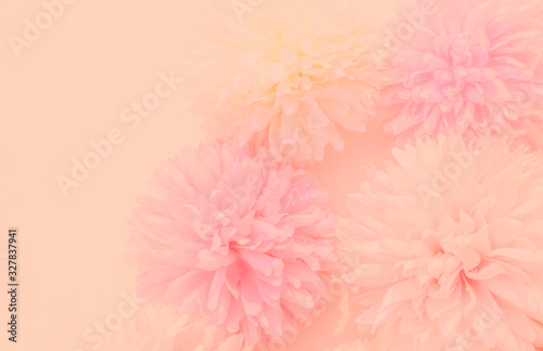 Beautiful abstract color white and pink flowers graphic on pink background and yellow and white flower frame and orange leaves texture, pink background, colorful graphics banner happy valentine