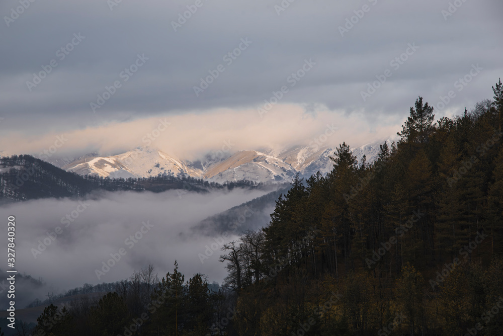 Beautiful morning  panoramic landscape. Mountains and forest in the fog.