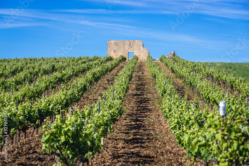 Ruined building on a vineyard in Trapani Province of Sicily autonomous region in Italy