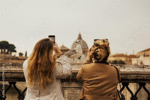 Girls on holiday looking and taking photo the gull in Rome, Italy. Girls admiring a seagull with Saint Peter's Cathedral on background in Lazio, Italy.
