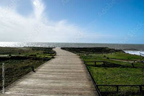 view of the path that leads to the devil s hole and the ocean  in the town of Saint-Hilaire-de-Riez  department of Vend  e  France.