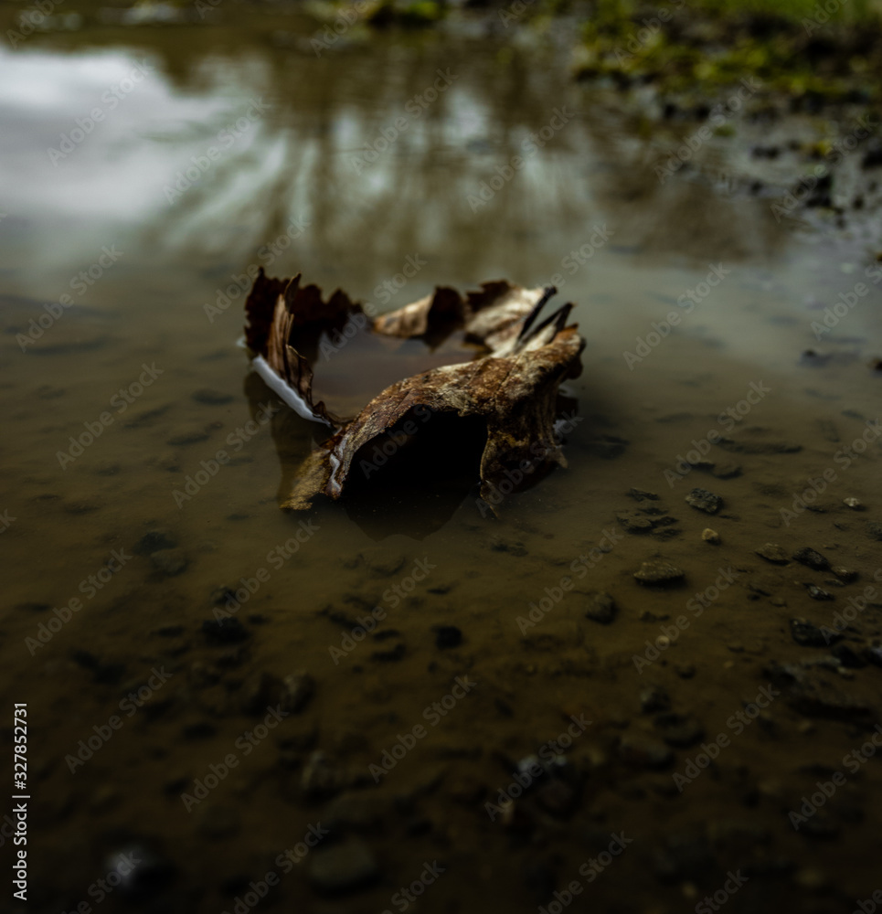 Φωτογραφία wasser, natur, meer, fluss, beach, landschaft, fels, baum, see, fels, ozean, küs