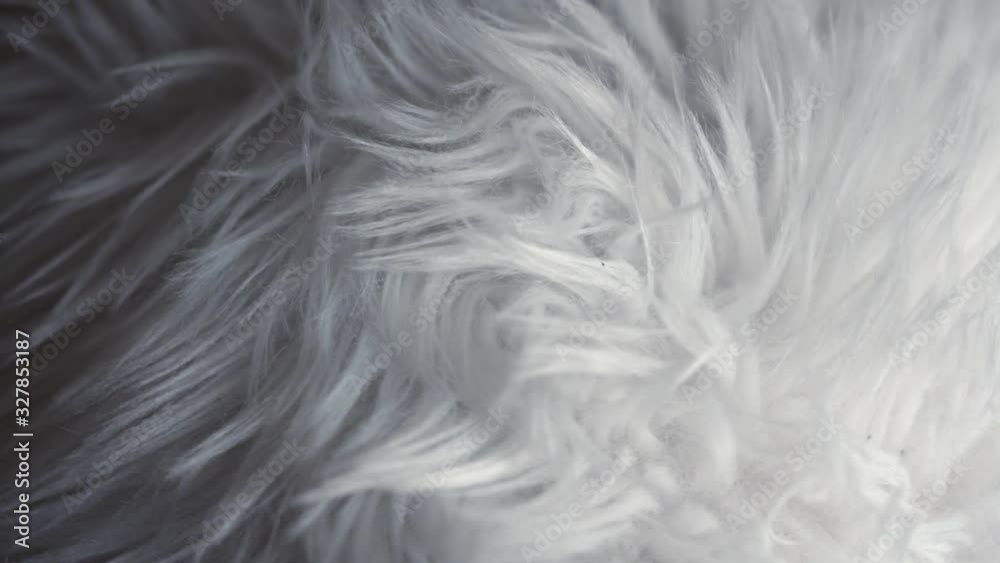 White Fake Fur or Faux Fur texture detail hair background.