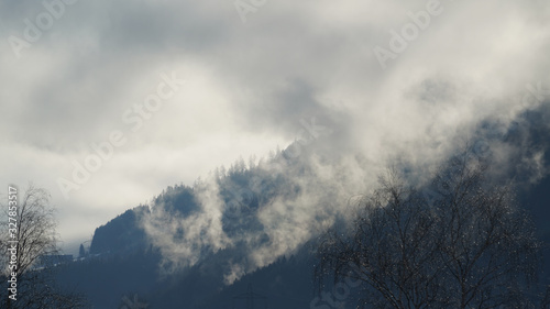 misty morning in the mountains with view to a spruce forest