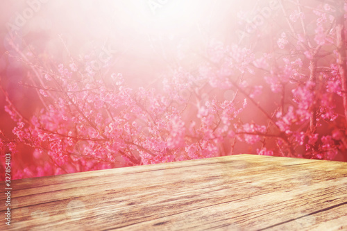 Blossoming cherry blossom branch in spring seasona with wooden desk for produ...