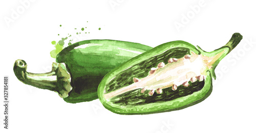 Jalapeno green hot chili pepper, whole and halved pods. Hand drawn watercolor illustration  isolated on white background photo