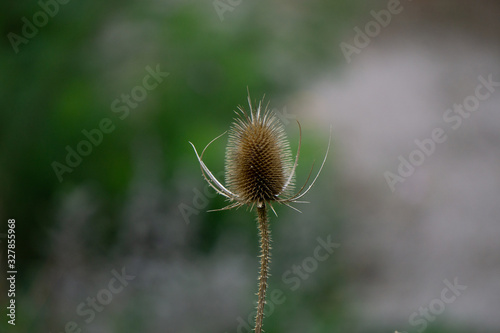 Wallpaper Mural Alleinstehend  Torontodigital.ca