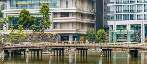 Photography Imperial Palace Garden, Japan