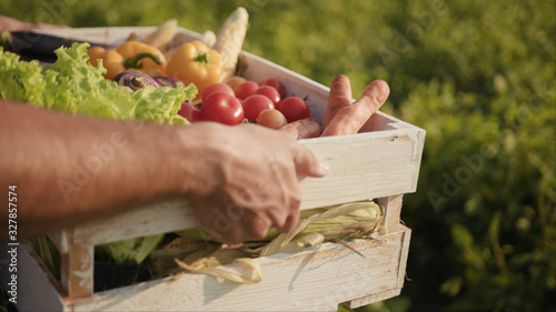 Hands young farmer is holding a box of organic vegetablesagriculture farm field harvest garden nutrition organic fresh portrait outdoor slow motion