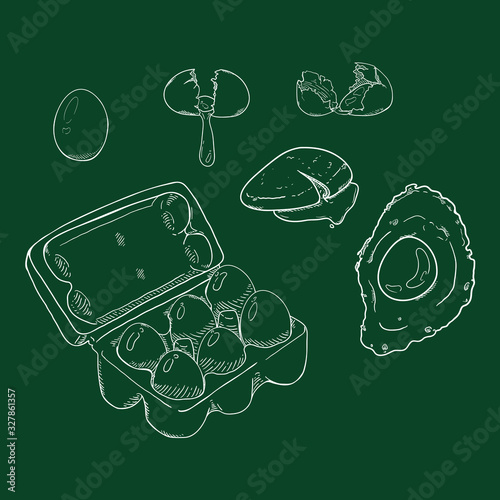 Vector Chalk Sketch Set of Eggs photo