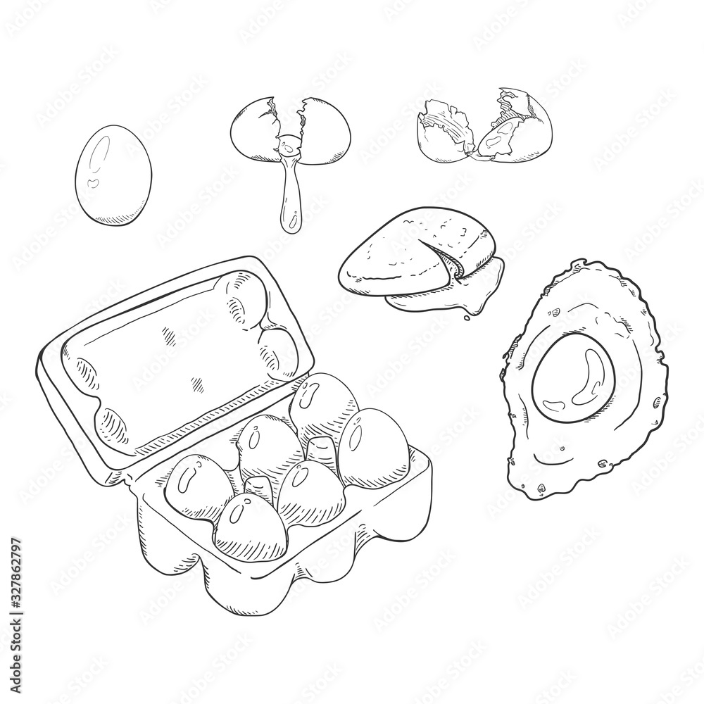Vector Sketch Set of Eggs.