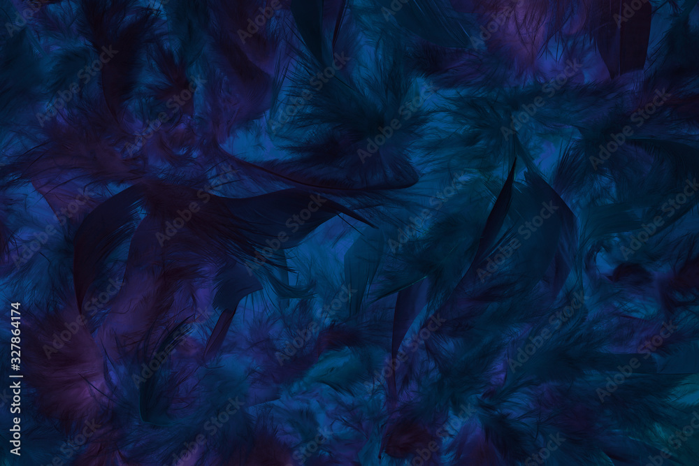 Soft and gentle dark blue and violet feathers boa background.