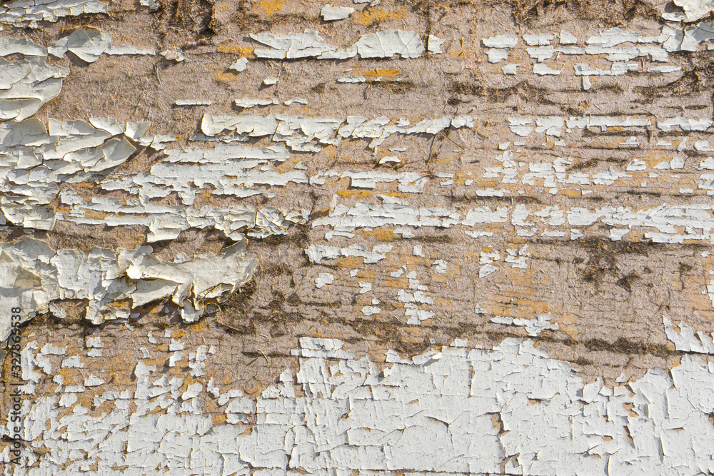 Dirty mossy surface of wooden panel with old peeling cracked weathered white paint close up. Abstract background for your design Dirty mossy surface of wooden panel with old peeling cracked weathered white paint close up. Abstract background for your design