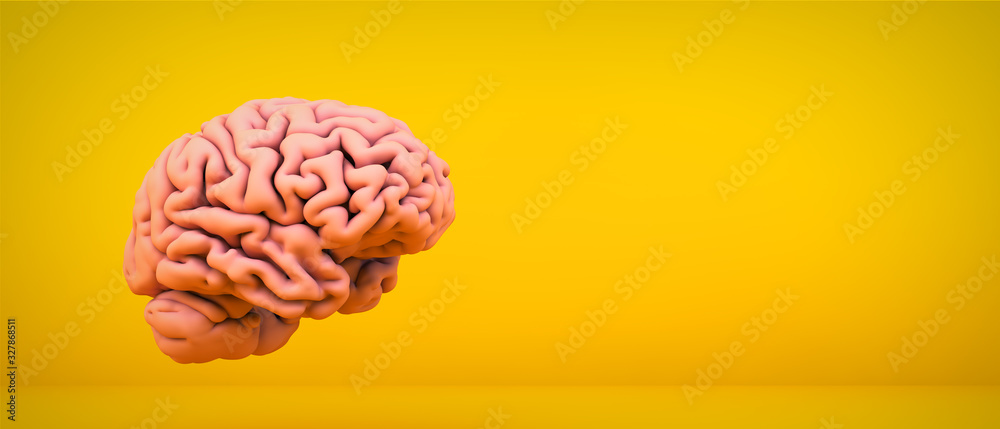 pink brain on yellow background Stock Illustration