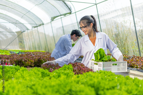 Scientists keep and test the solution, Chemical inspection, Check freshness at organic, hydroponic farm.