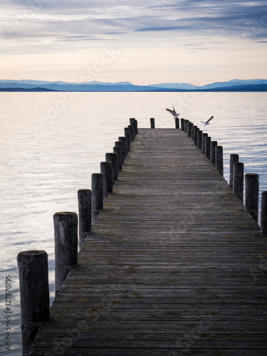 Jetty with seagulls on lake Neusiedlersee in Burgenland