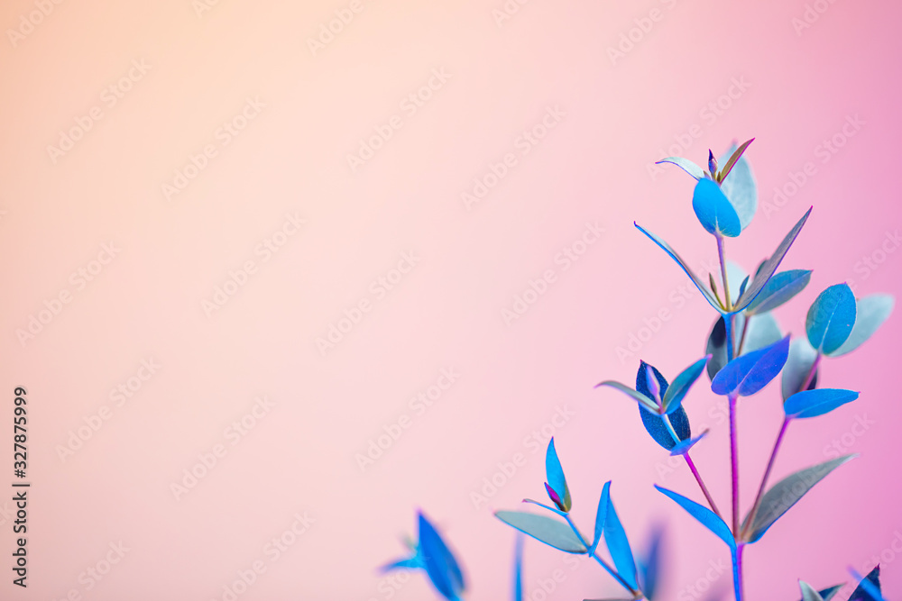 Creative neon background with foliages. Colorful abstract backdrop with vibrant gradients on petals. Exotic floral branch with pink and blue neon colors. Organic twigs with beautiful illumination