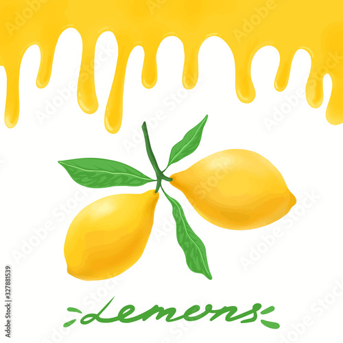 Fresh realistic two lemons with leaf and drippings isolated on white background. Citrus fruits sticker ad, advertising, promo for juice, packaging design template.  Vector illustration.