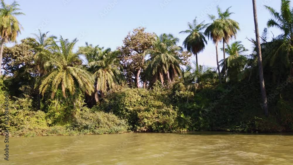Cruising along the lush vegetation in Gambia River - Panning shot