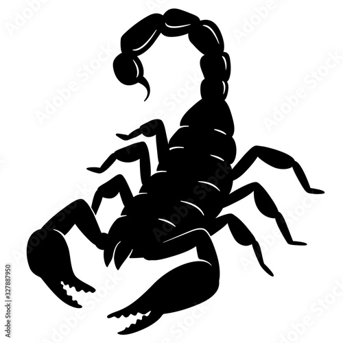 Black silhouette of a Scorpion, vector illustration isolated