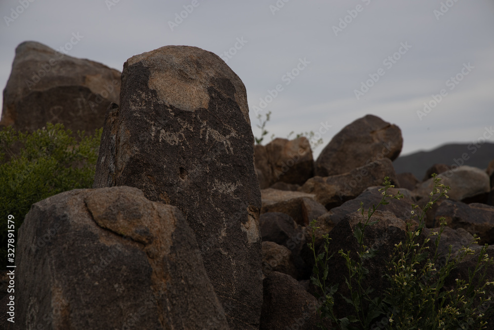 Petroglyphs of horses on Arizona rocks in Saguaro National Park