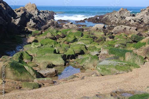 view of the beach