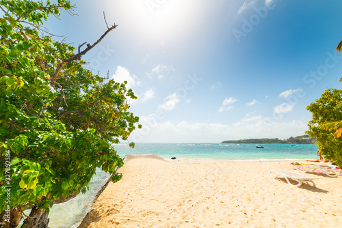 Fototapeta Naklejka Na Ścianę i Meble -  Sun shining over La Caravelle beach in Guadeloupe