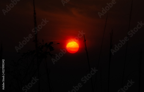 Photography Sun set view in Rajaji National Park, Haridwar, Uttarakhand