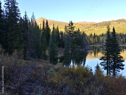 Mountain Valley Lake with Evergreens © Daniel