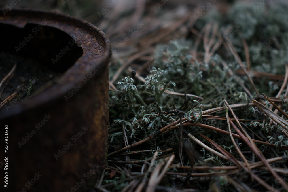 Obraz premium Old canned food on the ground in the forest