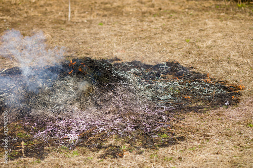 Bonfire smoke and gray ashes burning bonfire and dry grass in green garden in springtime concept of seasonal work in the garden.