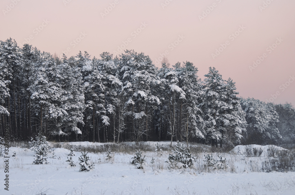 Beautiful green nature landscape of Europe