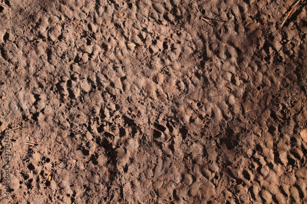 background of brown dirt. many animal tracks on the ground. beautiful background