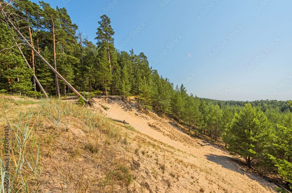 Fototapeta premium Beautiful green nature landscape of Europe