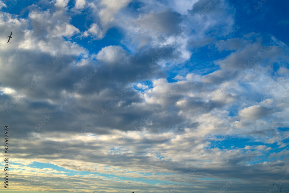 Fototapeta premium Blue Sky Clouds Pattern Background