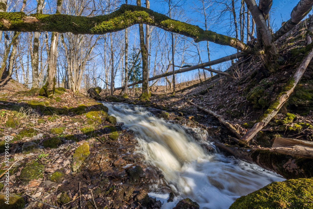 Beautiful green nature landscape of Europe Beautiful green nature landscape of Europe