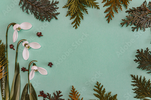 Spring time, Increasing position of snowdrops on a turquoise background, top view, modern and simple decor