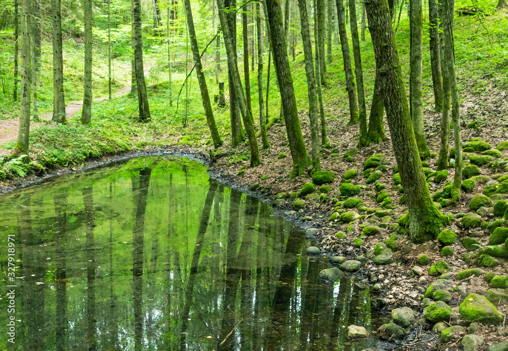 Obraz premium Beautiful green nature landscape of Europe