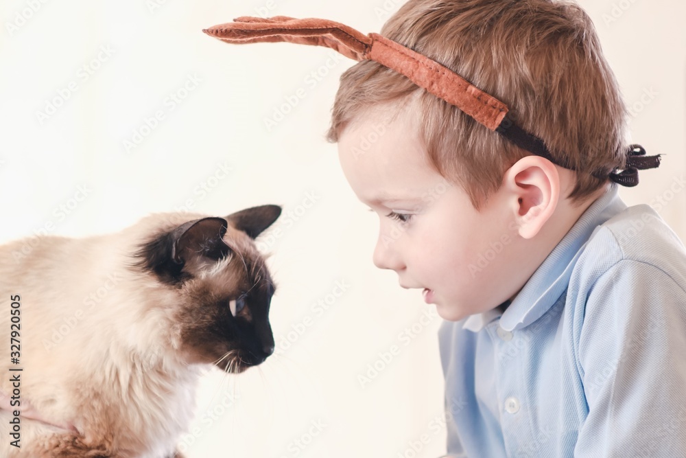 cat child balinese together play. cute affection.