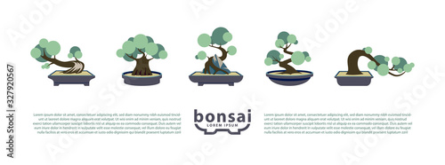 Bonsai trees and bonsai pots set. Vector Flat Icons with Bonsai Styles.