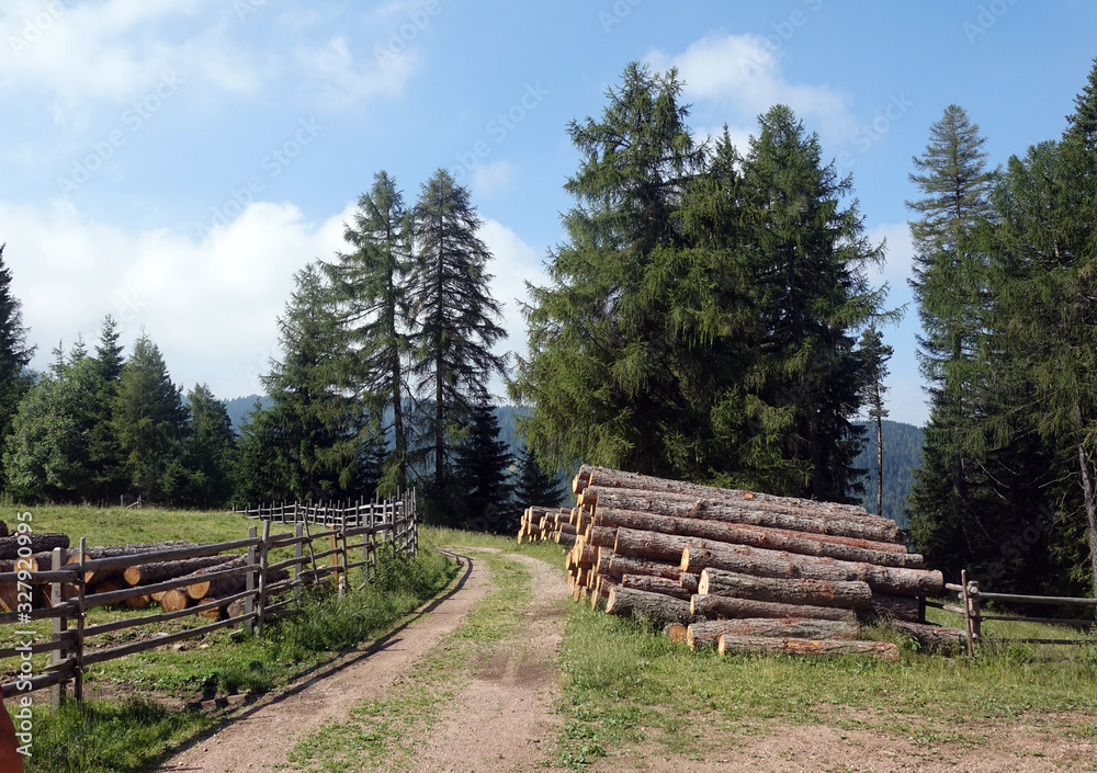 Weg an der Laabalm bei Deutschnofen Weg an der Laabalm bei Deutschnofen