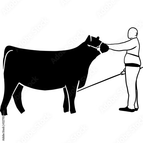 Hand drawn Cattle Show  Vector Sketch