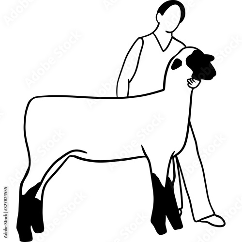 Hand drawn Lamb Show  Vector Sketch