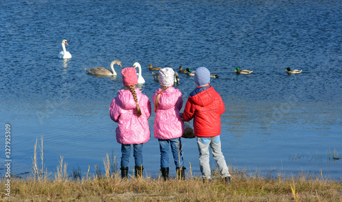 Children look at swans and ducks on the lake.