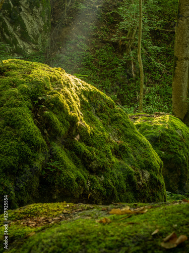 Mossy rocks in summer in the Ysperklamm nature reserve in the Waldviertel in Lower Austria