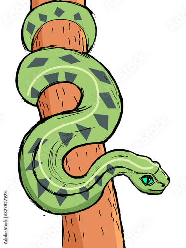 Hand drawn image of Amazonian anaconda